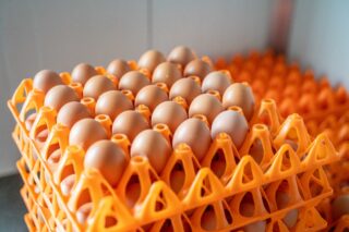 farmermobil_fm1000XL_21